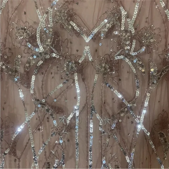 Free People sheer sequin Starlight Maxi Dress - Picture 10 of 11